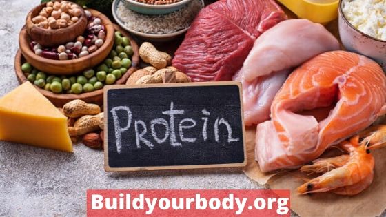 Proteins for getting the perfect body shape