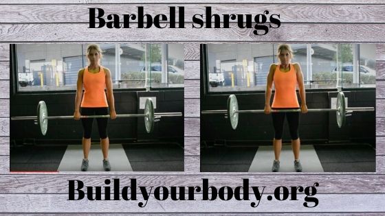 barbell shrugs, Fitness exercises