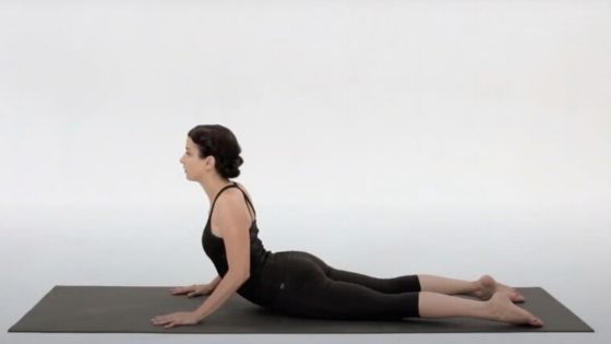 Cobra pose, yoga for beginners 