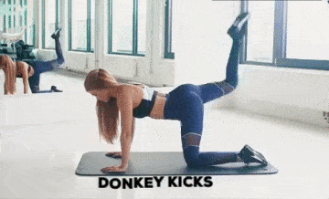 Donkey kicks