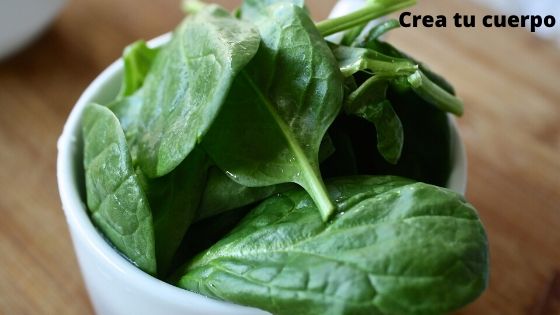 spinach, one of the best green foods for our organism