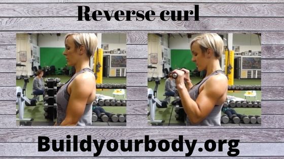 Reverse curl, Fitness exercises
