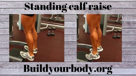 Standing calf raise, Fitness exercises