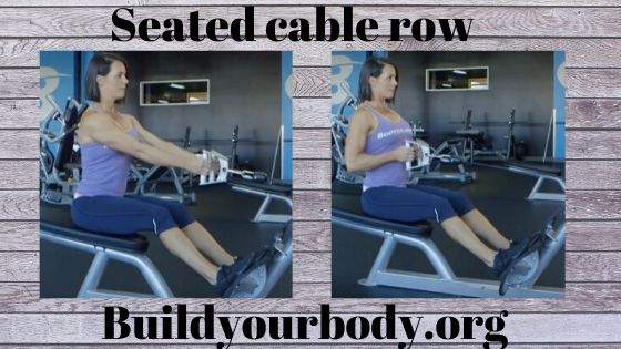 seated cable row, Fitness exercises