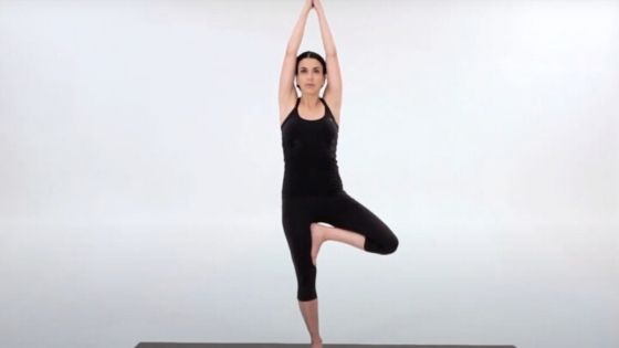 tree pose, yoga for beginners 