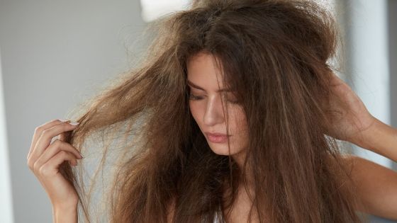 How can I moisturize my dry hair at home?