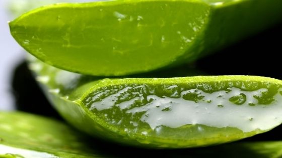 Aloe vera, what is for?