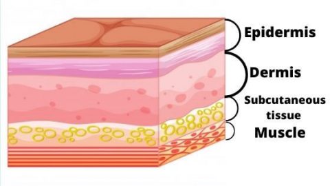 skin-types - BUILD YOUR BODY