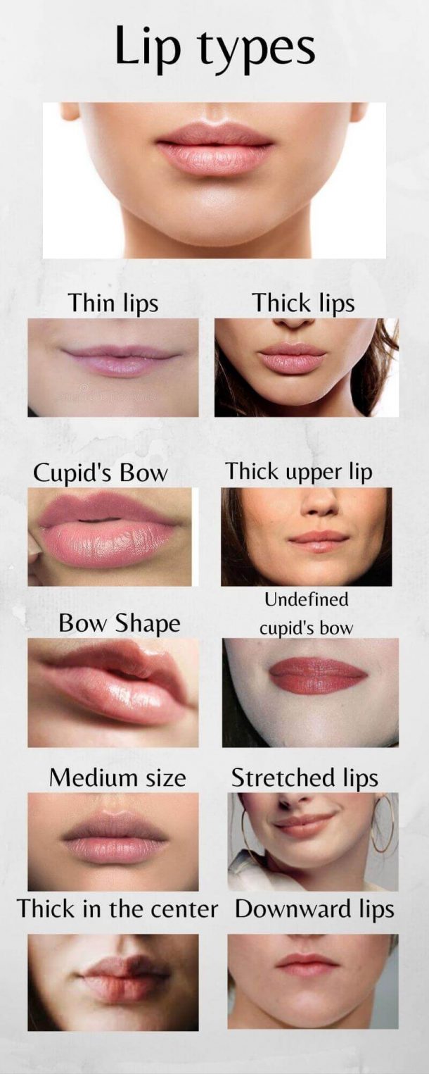 What is the most attractive lip shape? ⬅️ BUILD YOUR BODY