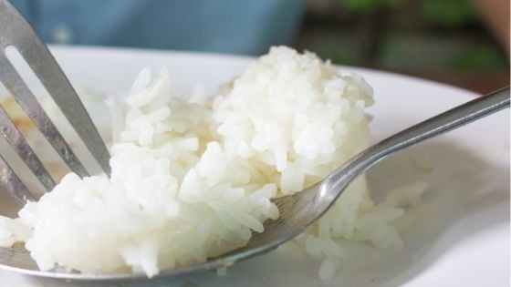 Rice in a plate
